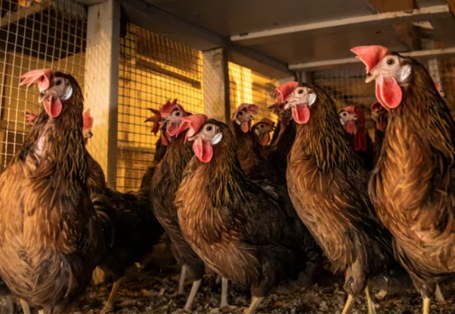 TVOne Việt Nam tham dự Lễ trao giải 